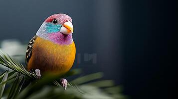 A vibrant bird perched on a green leaf, showcasing its colorful plumage against a blurred background photo