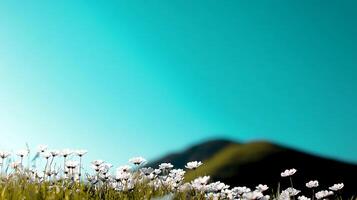 A serene landscape featuring wildflowers in the foreground and a tranquil mountain backdrop photo