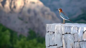 A solitary bird perched on a stone ledge, overlooking a scenic mountainous landscape at dawn photo