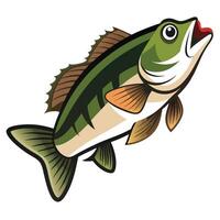 Bass Fish in Vibrant Colors with Sharp Fin Details for Coloring vector