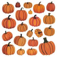 autumn collection of orange pumpkins in various sizes and shapes vector
