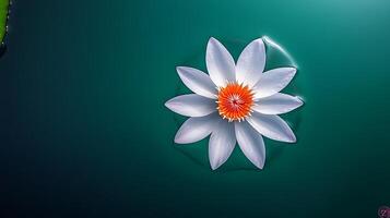 A serene water lily blooming on a tranquil pond, surrounded by lush greenery and soft reflections photo