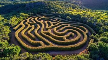 intricate stone labyrinth stretches endlessly beneath vast sky lone figure in neon outfit skillfully exploring its winding paths amidst deep shadows photo
