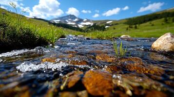 Water flows rapidly over smooth stones in mountain stream framed snow and sprouting grass. vibrant landscape contrasts clear blue sky photo