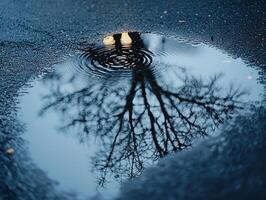 Ripples from falling droplets disturb surface of small puddle formed melting snow reflecting bare branches above in soft and natural light photo