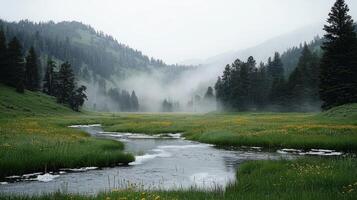 Open meadow displays melting snow patches and forming ponds fresh grass. Soft morning mist enhances depth in landscape creating tranquil atmosphere photo