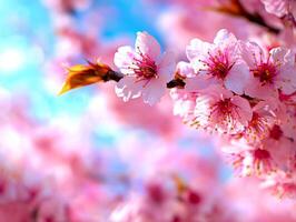 Close up view of cherry blossom branch showcasing vibrant pink flowers illuminated sunlight set against soft blue sky creating serene and peaceful ambiance photo