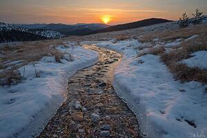narrow stream winds through melting snow reflecting golden hour light. icy edges glisten as small stones are visible beneath clear water creating serene winter landscape photo