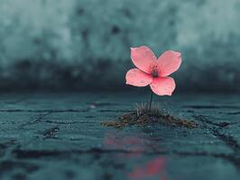 single small flower breaks through snow surrounded glistening water droplets and moss showcasing vibrant pastels and elegant brushstrokes on wintery ground photo