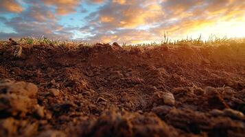 haunting perspective from bottom of burial pit reveals contrast between dark soil and bright daylight above. Wisps of clouds and faint silhouette add mystery view photo
