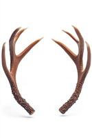 Decorative antler sculpture with intricate detailing, showcasing a rustic charm. photo