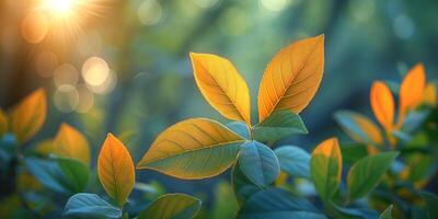 Golden sunlight filters through vibrant green leaves, creating a serene atmosphere in nature. photo