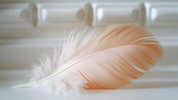 A delicate pink feather resting elegantly against a soft white background, showcasing its intricate details and soft textures. photo