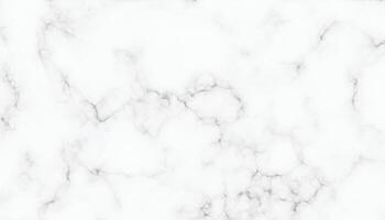 Marble Texture Background vector