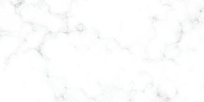 White Marble Texture Background. Elegant and Minimalist Design vector