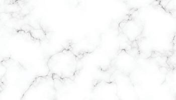 White Marble Texture Background vector