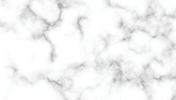 High Resolution White Marble Texture Background vector