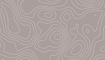 Minimalist Topographic Contour Line Background in Neutral Tones vector