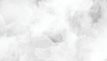 Soft White and Gray Cloud Texture Background vector