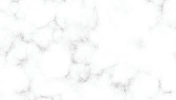 Soft White Marble Texture Background vector