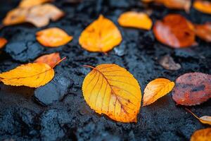 A close-up of vibrant autumn leaves in shades of orange and yellow resting on a dark, textured surface, creating a warm and serene atmosphere. photo