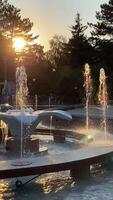 Golden hour fountain spray sparkles against setting sun in serene park video