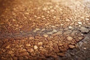 Close-up of cracked, textured surface with rich brown hues and warm light accentuating its details. photo