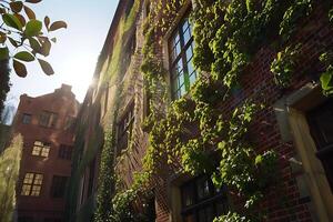 A building with ivy growing on it photo