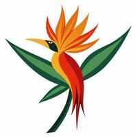 Bird of Paradise Isolated on White Background vector