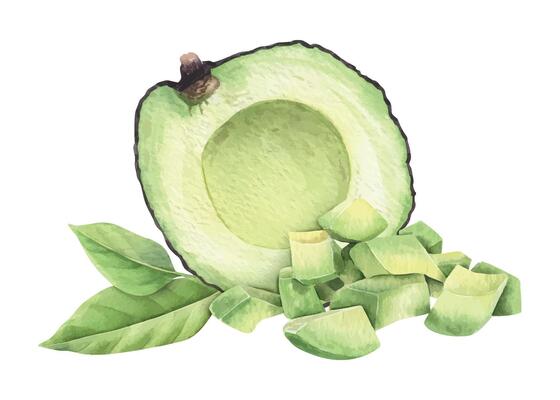Seedless Avocado sliced open, pile diced slices and leaves. Isolated hand drawn watercolor illustration of vegan Vegetable. Botanical composition for menu, package, cosmetic, stationery, cards, recipe