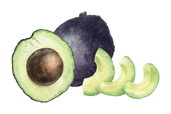 Hass Avocado fruits, cross section pulp and slices. Isolated hand drawn watercolor food illustration of vegan Vegetables. Clipart for menu,packaging of food and cosmetics, stationery, cards, recipe
