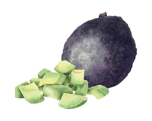 Whole Hass Avocado fruits, pile pulp and diced slices. Isolated hand drawn watercolor food illustration of vegan Vegetables for menu,packaging of food and cosmetics, stationery, cards, recipe