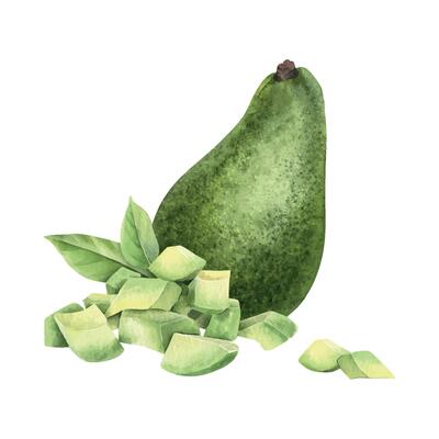 Whole Green Avocado, pile diced slices and leaves. Isolated hand drawn watercolor food illustration of vegan Vegetables for menu, packaging of food and cosmetics, fabrics, cards, recipe