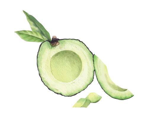 Seedless Avocado sliced open, slices of fruit and leaves. Isolated hand drawn watercolor illustration of vegan Vegetable. Composition for menu, package, cosmetic, textile, stationery, cards, recipe
