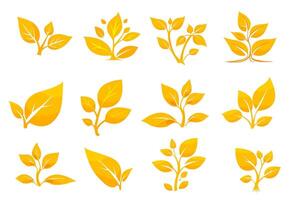 Yellow leaf illustrations displaying various plant shapes and arrangements for decorative use. autumn vector