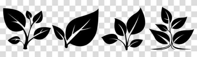 Collection of illustrations of various plant leaves and stems suitable for nature-themed designs and projects vector