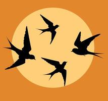 Silhouetted birds flying against a warm sunset background in illustration style vector