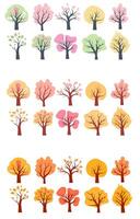 Autumn and spring tree illustrations showcasing seasonal changes in foliage and colors vector