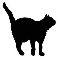 Silhouette illustration of a domestic cat with its tail up The feline silhouette is isolated on a white background Simple black and white graphic vector