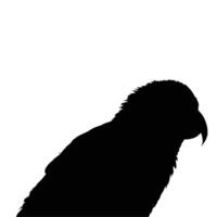Dramatic silhouette of a bird its powerful beak sharply defined against a stark white background conveys a sense of mystery and primal avian nature vector