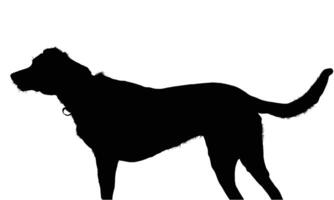Silhouette of a dog standing alert its collar visible The dog's posture and tail suggest it might be tracking something in its vicinity vector