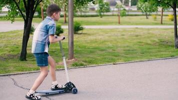 A boy with short hair rolls on a scooter in a park in summer sunny weather having a good mood video