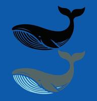 Aggressive Shark Design Bold Striking Graphics vector