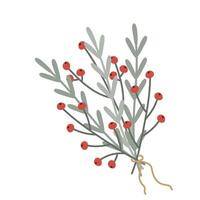 Green winter twig with red berries vector