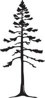 Elegant line art silhouette of a tall pine tree vector