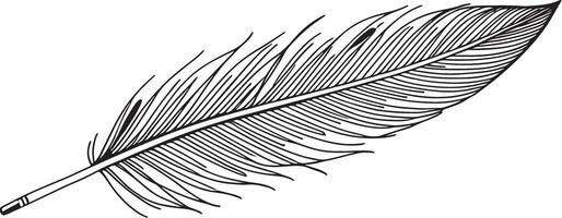 A single feather line art silhouette on white background vector