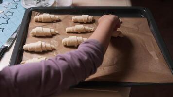 Raw croissants prepared on baking sheet with parchment paper video