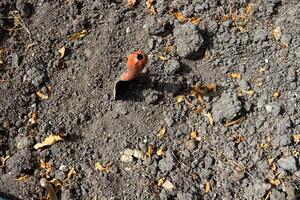 Small orange metal spade dig into dark soil and shadow. photo