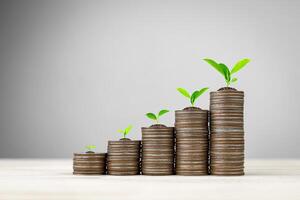 Money management, financial planning and savings concept. Many coins arranged in rows with tree on coin meaning about growth in investment profits and increased interest photo