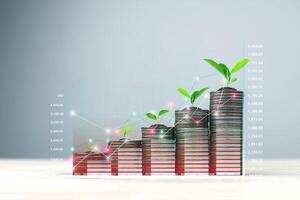 Graph of cost showing investment returns, increasing annual profits with many coins arranged in rows with trees. Concept of financial investment management, statistical reporting of profits. photo